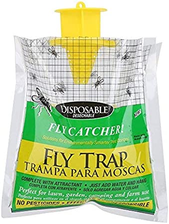 Goodbye Fly Trap + Bait